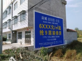  商城墙体广告质量分析
