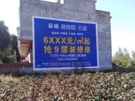 商城品牌公司青睐的墙体广告