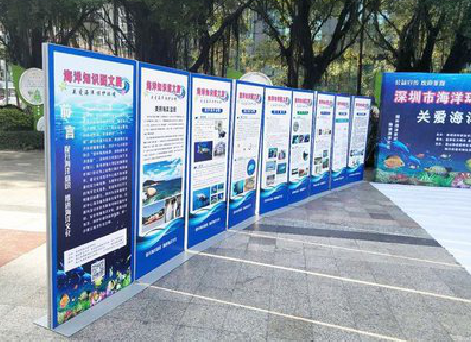  商城KT板的种类和知识。